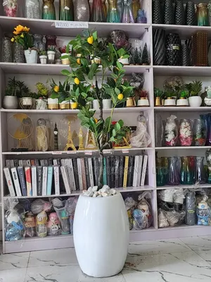 Beautiful Flower Plant With Vase