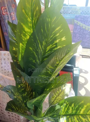 Artificial Green Decorative Plant (Small Size) and Classic Vase