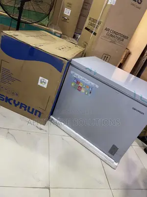 Skyrun BD 260A 260L Deep Freezer – A Home Storage Essential