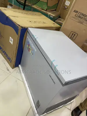 Skyrun BD 260A 260L Chest Freezer – Space That Works for You