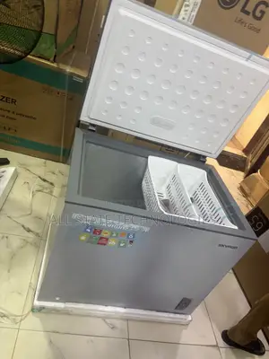 SKYRUN BD-260A 260L Freezer for Frozen Goods