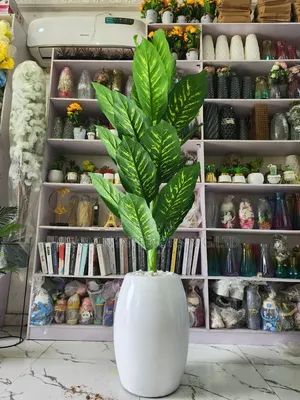 Flower With Vase