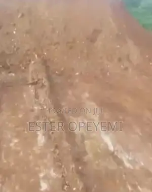 I Want to Sell Half Plot of Land