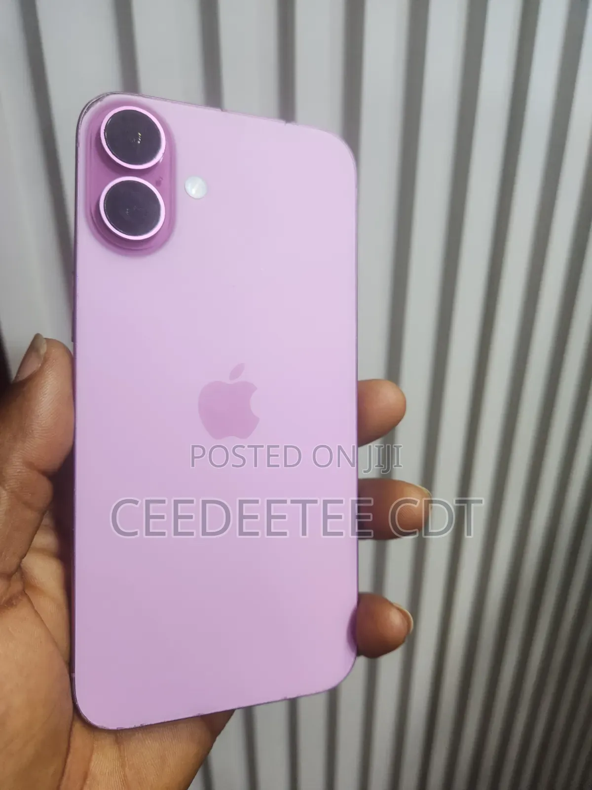 Apple iPhone 16 Plus 128 GB Pink
