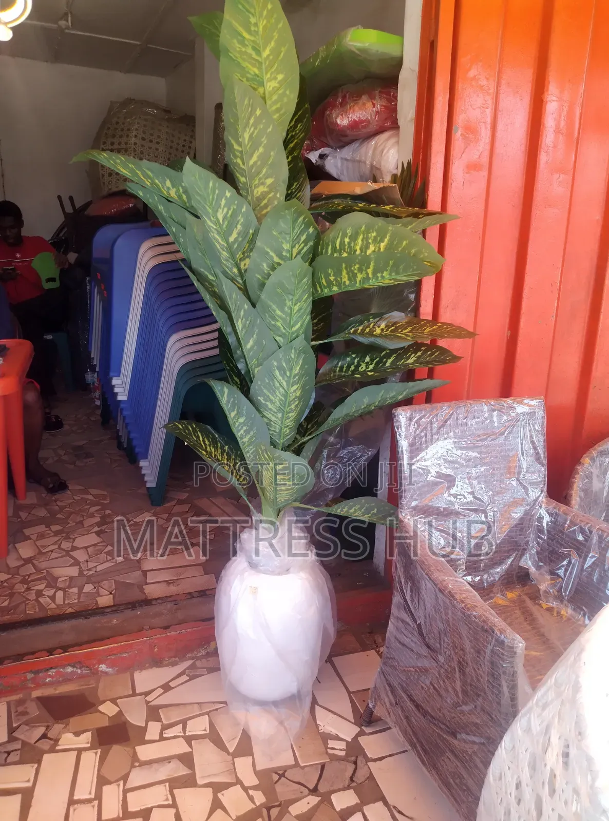Artificial Green Plant (Big Size) and Classic Vase