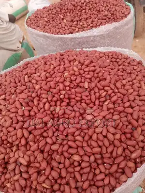 Red Groundnut 50KG Bag- 100% Clean Dawanau Kano