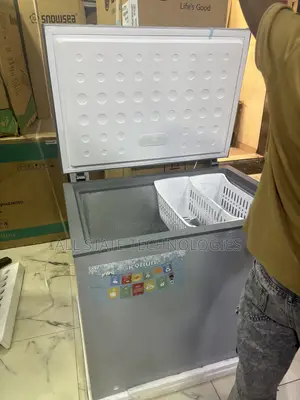 SKYRUN BD-260A 260L Household Deep Freezer