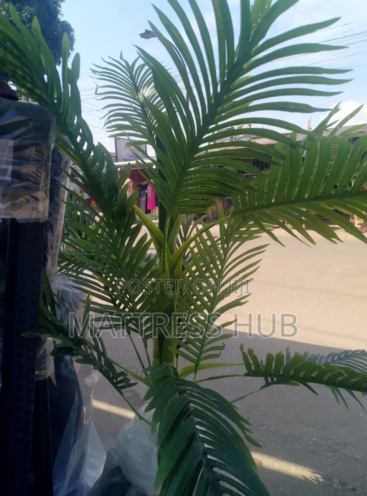 Artificial Palm Tree Decorative Plant (Small Size) and Classic Vase