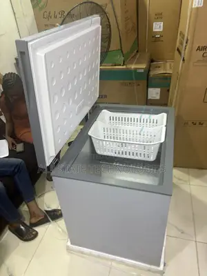 SKYRUN BD-260A Freezer for Frozen Meat Storage
