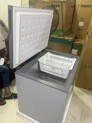 SKYRUN BD-260A 260L Freezer for Grocery Storage