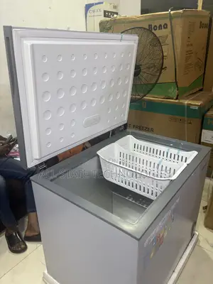 SKYRUN BD-260A Deep Freezer for Shop Owners
