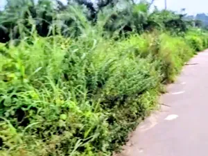 10 Plots for Sale at Ohiya Express Umuahia Abia State