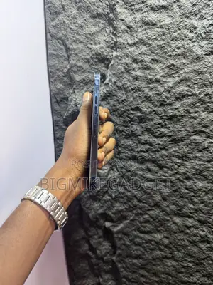 Apple iPhone 12 Pro Max 512 GB Blue