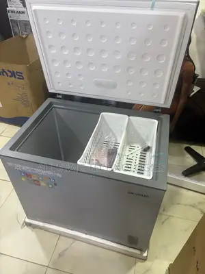 SKYRUN BD-260A Spacious 260L Freezing Storage