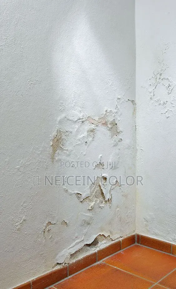 Painter Idu Industrial