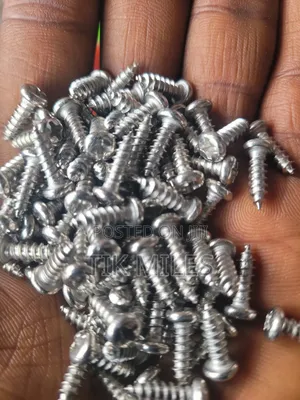 4.2×20mm Stainless Steel 304 Pan Head Self Tapping Screws- Anti Rust