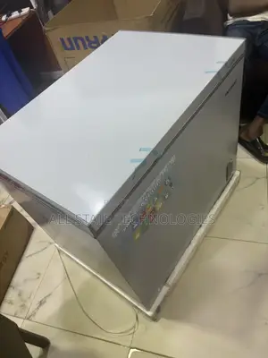 SKYRUN BD-260A 260L Freezer for Bulk Food Storage