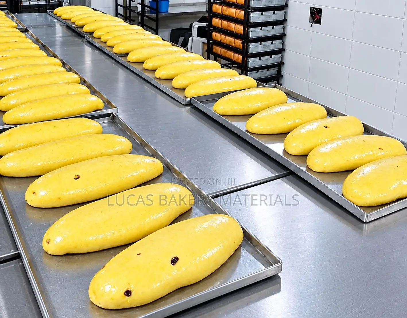 Bread Preservatives ( Calcium Propionate)
