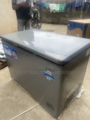 Skyrun BD-300HNW 300L Chest Freezer for Home and Business