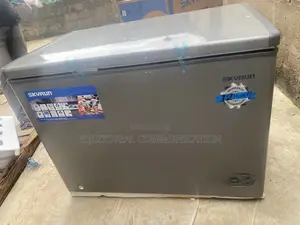 SKYRUN 300L Deep Freezer Model BD-300HNW With Large Storage