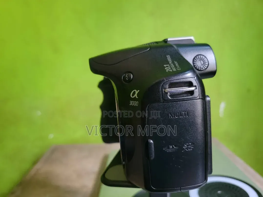 Sony A3000