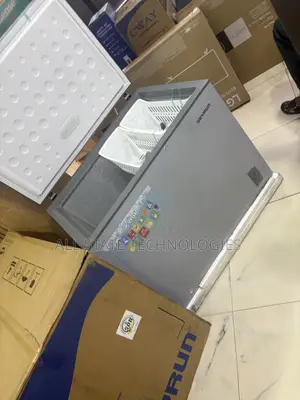 SKYRUN BD-260A 260L Freezer for Food Vendors