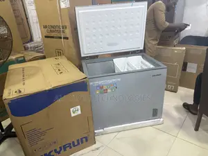 SKYRUN BD-260A Freezer for Restaurant Ingredients