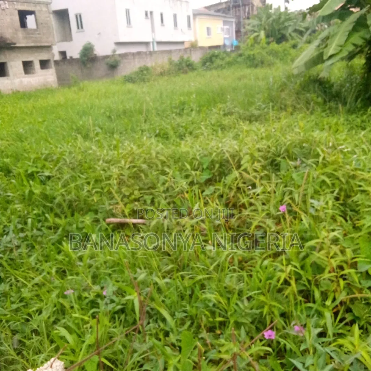 Half Plot for Sale