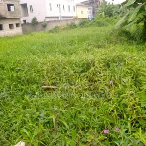 Half Plot for Sale