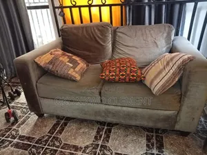 Cushion/Sofa