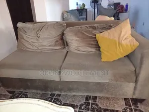 Cushion/Sofa