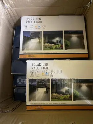 220 Lumens Solar Wall Light