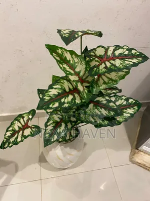 Artificial Floor Plants in White Ceramic Pots