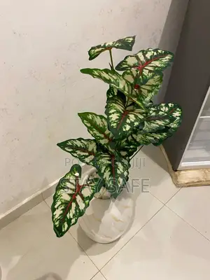 Artificial Floor Plants in White Ceramic Pots