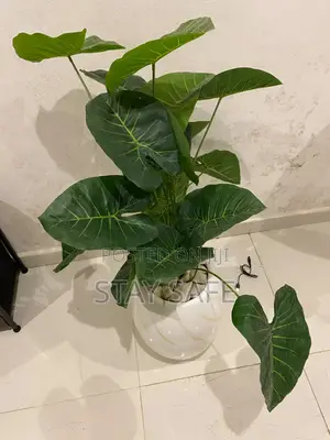 Artificial Floor Plants in White Ceramic Pots