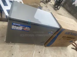 BD-300HNW 300L Skyrun Chest Freezer for Provision Stores