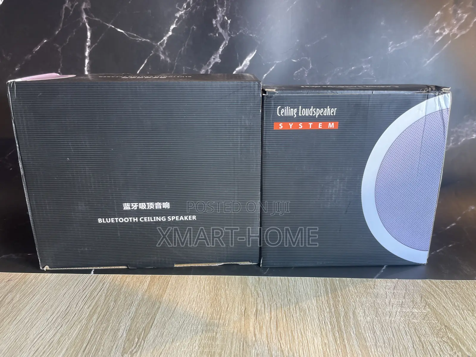 Ceiled Wireless Speaker (1horn)