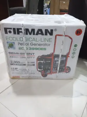 Firman ECO3990ES Generator for Shops, Offices, and Workshops