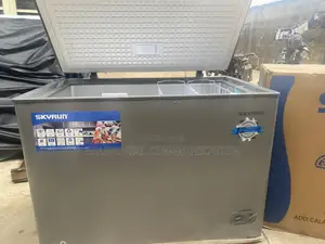 BD-300HNW Skyrun 300L Freezer for Long-Term Food Storage