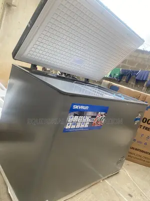 Skyrun 300-Litre Deep Freezer for Fish and Chicken Storage