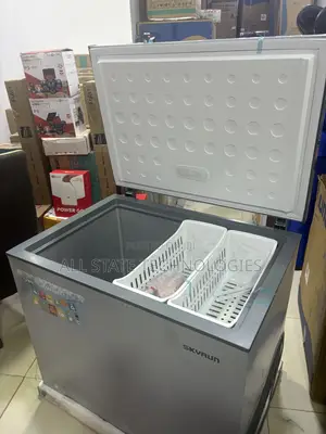SKYRUN BD-260A 260L Freezer for Meat Shops