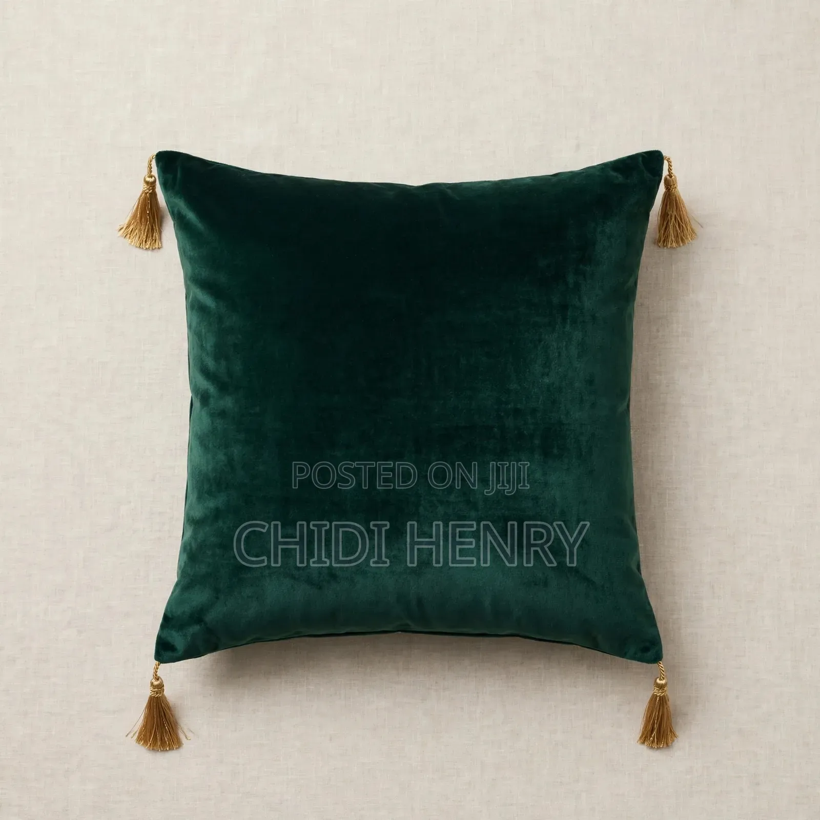 Throw Pillow
