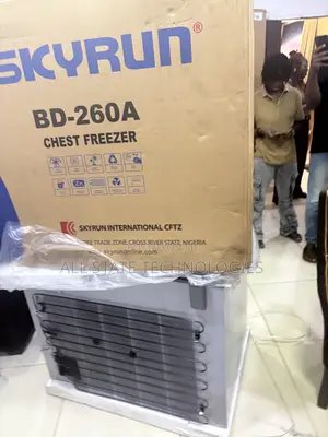 SKYRUN BD-260A Freezer for Frozen Food Suppliers
