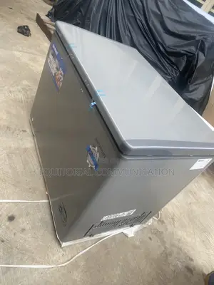 SKYRUN BD-300HNW 300L Deep Freezer for Grocery Stores