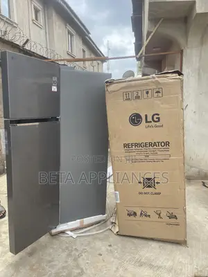 LG 287L Home Food Preservation Appliance