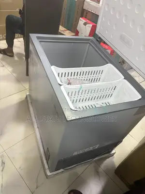 SKYRUN BD-260A Freezer for Frozen Poultry Storage