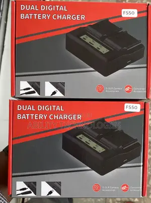 Dual Digital Battery Charger