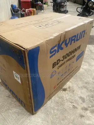 BD-300HNW 300L Skyrun Deep Freezer for Restaurant Supplies