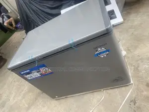 BD-300HNW Skyrun 300L Chest Freezer With Durable Cabinet Design