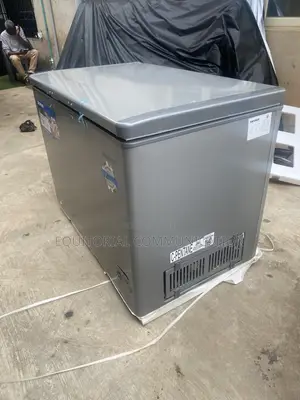 SKYRUN BD-300HNW 300L Chest Freezer for Business Inventory
